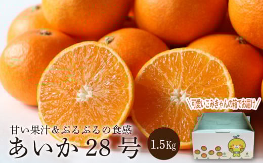 順次発送中】あいか（紅まどんな と同品種） 1.5kg（5～8玉） | みかん