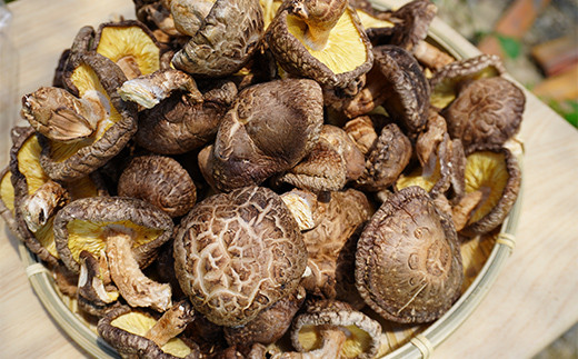 乾燥 椎茸 120g （ミックスサイズ）岩手県 山田町 三陸山田 岩手三陸産