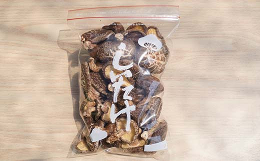 乾燥 椎茸 120g （ミックスサイズ）岩手県 山田町 三陸山田 岩手三陸産