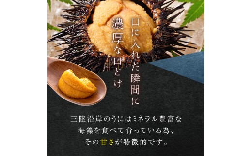無添加】生うに 100g 1パック 三陸産 長根水産 【2026年5月中旬以降