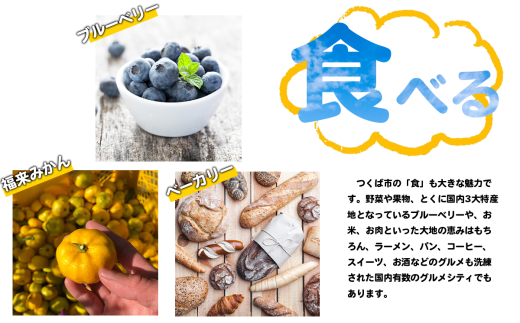 造幣局検定刻印入り】純銀 100g小判【 純銀 銀 貴金属 小判 高級 記念