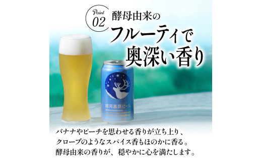 銀河高原ビール 12ヶ月定期便 350ml × 24缶 クラフトビール ビール