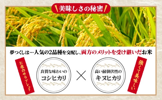 20kg 夢つくし 九州産米 特Aランク 令和7年産】福岡県産米食べ比べ<無洗米>「夢つくし」と「元気つくし