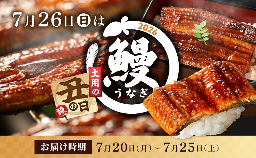 丑の日】職人手焼きの本格うなぎ蒲焼き2尾≪7月20日～25日お届け≫_MJ