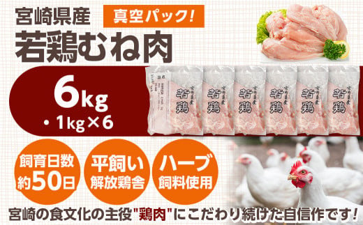 宮崎県産若鶏 むね肉(6kg)_11-G302_(都城市) 若鶏 鶏肉 真空 むね肉 平