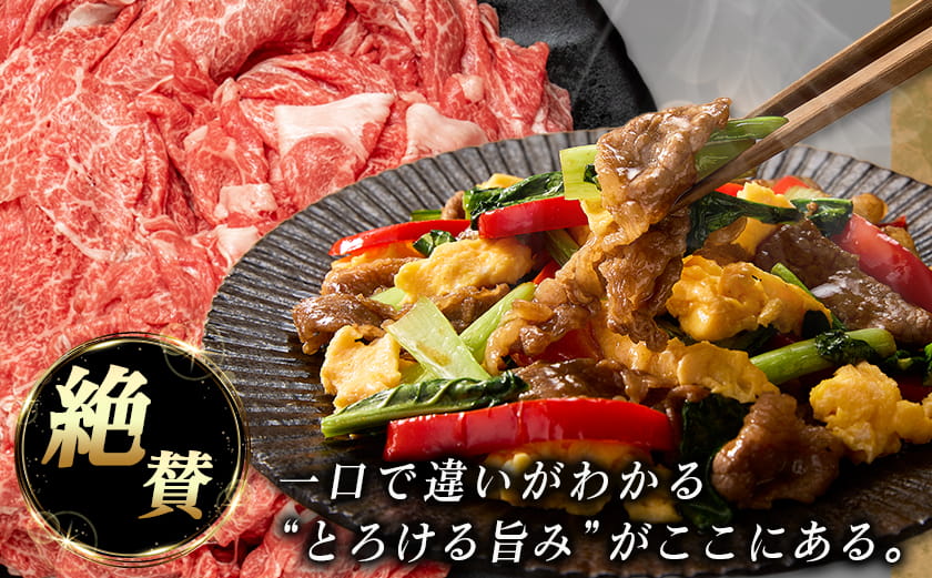 宮崎牛切り落とし1kg_MJ-89-006-1000g_(都城市) 宮崎県産 宮崎牛 牛肉