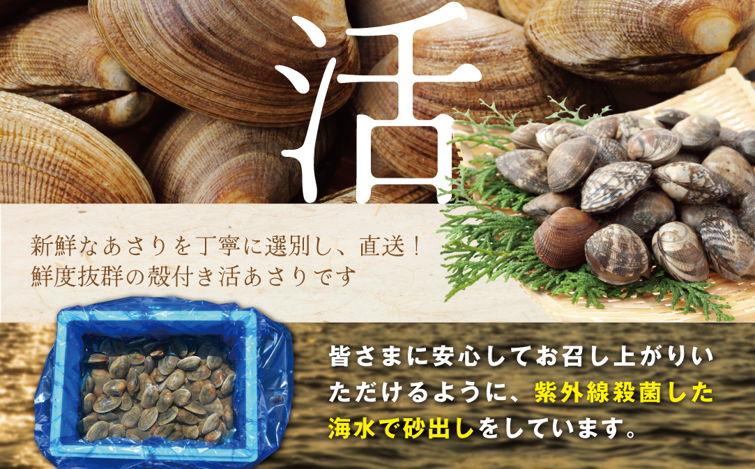 北海道 野付産 大粒 天然 活あさり 4kg前後【UY0000005】（株式会社 海
