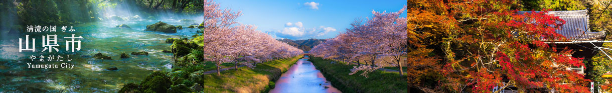 山県市