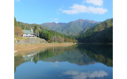 【令和6年産新米先行予約】【定期便3回隔月お届け】新潟県加茂市 七谷産コシヒカリ 玄米5kg 高柳地域産数量限定 昇徳会