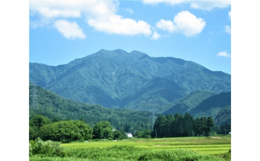 【令和6年産新米先行予約】【定期便3回隔月お届け】新潟県加茂市 七谷産コシヒカリ 玄米5kg 高柳地域産数量限定 昇徳会