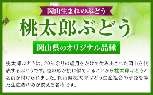 227.【先行予約】 岡山県産 桃太郎ぶどう  1房 (680g以上)  無加温栽培【配送不可地域あり】 《9月上旬-10月末頃に出荷予定(土日祝除く)》 岡山県 矢掛町 ぶどう 葡萄 果物