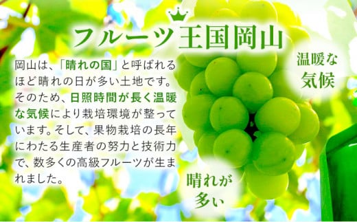 227.【先行予約】 岡山県産 桃太郎ぶどう  1房 (680g以上)  無加温栽培【配送不可地域あり】 《9月上旬-10月末頃に出荷予定(土日祝除く)》 岡山県 矢掛町 ぶどう 葡萄 果物