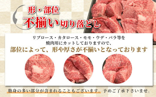 2月発送★大人気！根羽こだわり和牛 焼肉切り落とし 1.2kg ( 600g×2 ) リブロース カタロース モモ カタ バラ ウデ 焼肉用 切り落とし 20000円