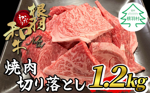 2月発送★大人気！根羽こだわり和牛 焼肉切り落とし 1.2kg ( 600g×2 ) リブロース カタロース モモ カタ バラ ウデ 焼肉用 切り落とし 20000円