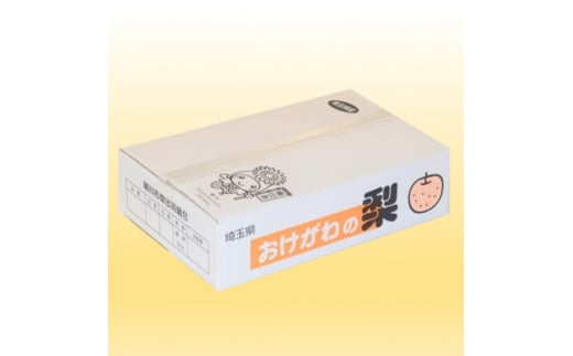 桶川産の梨　5kg【1423786】