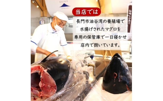 油谷産養殖本マグロ 柵セット【刺身 さく マグロ 中トロ 赤身 まぐろ 鮪 さしみ 冷凍 急速冷凍 長門市】 年内配送