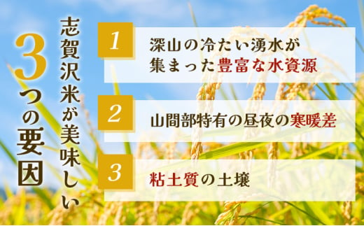 レトルト 志賀沢米レンジアップごはん7種詰合せ 常温 常温保存 レトルト食品 パックご飯 パックごはん ごはん ご飯 [№5704-0868]