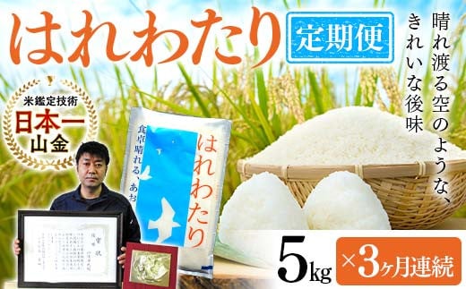 ＜定期便＞【コメ鑑定技術日本一の山金】 新米 特A はれわたり 5kg×3ヶ月連続（令和6年産） 白米 精米 米 お米 おこめ コメ 東北 青森県 南部町 F21U-485