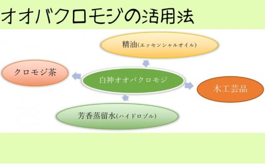 【白神アロマ研究所】5名様まで参加可能！白神クロモジ蒸留体験ツアー（昼食付）