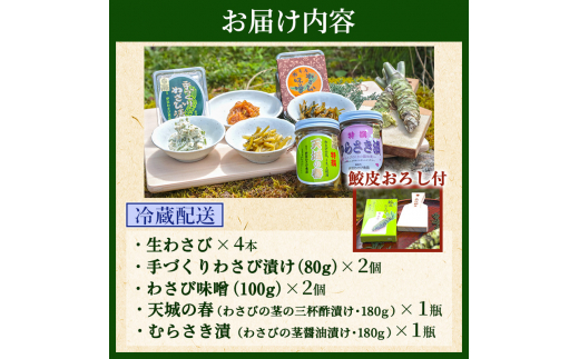 とれたて わさび セット 池 鮫皮おろし付 伊豆わさび食品直送 生わさび 4本 手作り わさび漬け 天城の春 三杯酢漬け わさびみそ むらさき漬 醤油漬け 伊豆 ワサビ 茎 加工品 加工食品 薬味 鮫皮おろし 詰め合わせ 静岡 調味料 [№5227-0353]