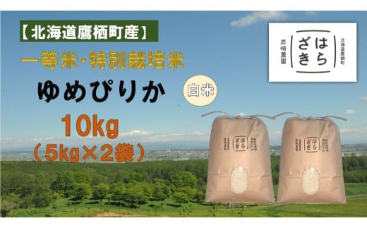 A273【令和６年産】一等米・特別栽培米 10kg【ゆめぴりか白米】５kg×２袋（農薬７割減）北海道 鷹栖町 原崎農園 