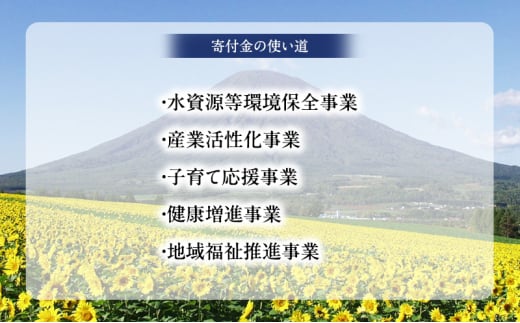 京極町 寄附のみ 応援受付 1,000円コース（返礼品なし 寄附のみ 1000円）