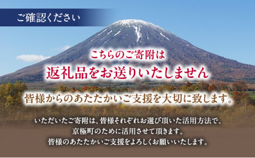 京極町 寄附のみ 応援受付 1,000円コース（返礼品なし 寄附のみ 1000円）