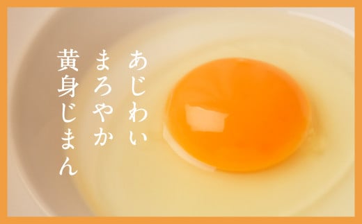 【12月9〜10日発送】 卵 たまご 36個 卵焼き 卵かけご飯 小分け お試し エッグショック フードロス 対策 支援 就労支援 障がい者支援 北の卵 タマゴ エッグ 生たまご 生卵 生玉子 玉子 定期便 もございます