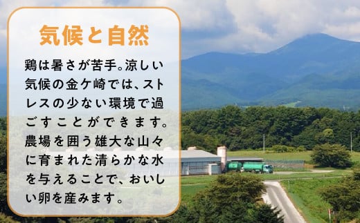 【12月9〜10日発送】 卵 たまご 36個 卵焼き 卵かけご飯 小分け お試し エッグショック フードロス 対策 支援 就労支援 障がい者支援 北の卵 タマゴ エッグ 生たまご 生卵 生玉子 玉子 定期便 もございます