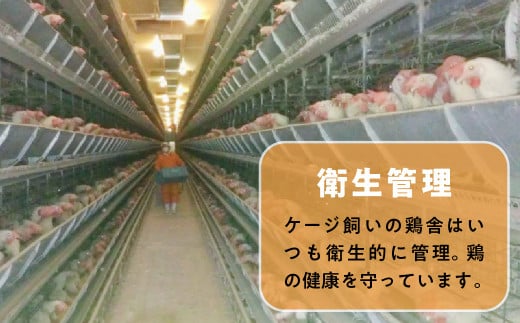 【12月9〜10日発送】 卵 たまご 36個 卵焼き 卵かけご飯 小分け お試し エッグショック フードロス 対策 支援 就労支援 障がい者支援 北の卵 タマゴ エッグ 生たまご 生卵 生玉子 玉子 定期便 もございます