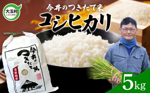 【 令和6年産 新米 】【 今井のつきたて米 】 コシヒカリ ５ｋｇ【OT08-002-R6】 こしひかり 福島県 大玉村 精米 今井農園