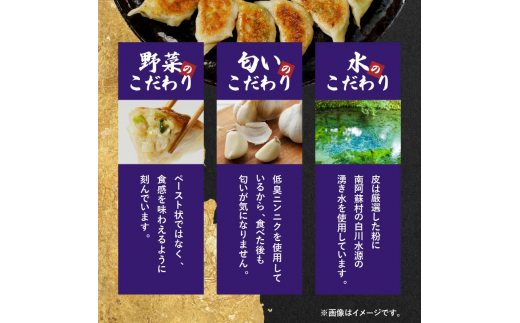 【ぎょうざの店黄楊】手作り餃子60個（餃子30個×２パック） N0099-YZA358