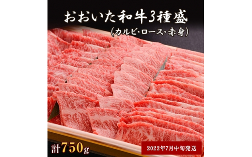 ＜2022年7月中旬発送＞おおいた和牛3種盛(カルビ・ロース・赤身)(合計750g)【6372776】