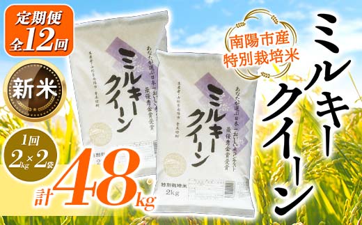 【令和6年産 新米 先行予約】 【金賞受賞農家】 《定期便12回》 特別栽培米 ミルキークイーン 計4kg(2kg×2袋)×12か月 《令和6年10月上旬～発送》 『あおきライスファーム』 山形南陽産 米 白米 精米 ご飯 農家直送 山形県 南陽市 [1594-RR6]