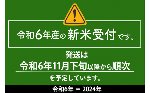 【白米】＜令和6年産 新米予約＞《定期便4ヶ月》おばこの匠 秋田県産あきたこまち 20kg×4回 計80kg 4か月 4ヵ月 4カ月 4ケ月 秋田こまち お米