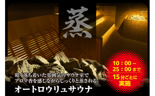 【ふるさと納税限定】　サウナイーグル１年間フリー入泉券（深夜料金込み。１年間何度でも出入り自由）（1715）