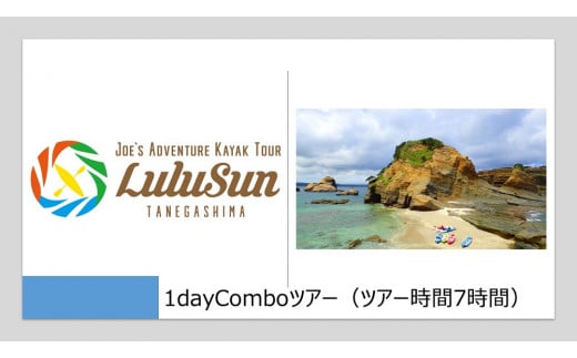 1dayComboツアー（ツアー時間7時間）ランチ付き