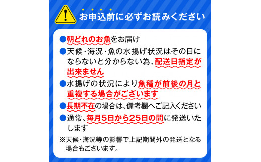 【単月お届け】大和のこだわり漁師のお刺身4人前 N072-YA0387_2