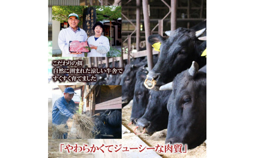 福岡県産　黒毛和牛 A4ランク以上の博多和牛！ 3か月定期便　Aコース【牛肉 肉 博多和牛 和牛 黒毛和牛 A4 国産 福岡 九州 博多 福岡県 大任町 Z001】