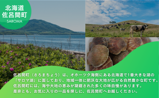 サロマ和牛 切り落とし 1.6kg（200g×8） 【 ふるさと納税 人気 おすすめ ランキング 肉 牛肉 和牛 ブランド牛 牛焼肉 牛切り落とし 美味しい 北海道 佐呂間町 送料無料 】 SRMD014