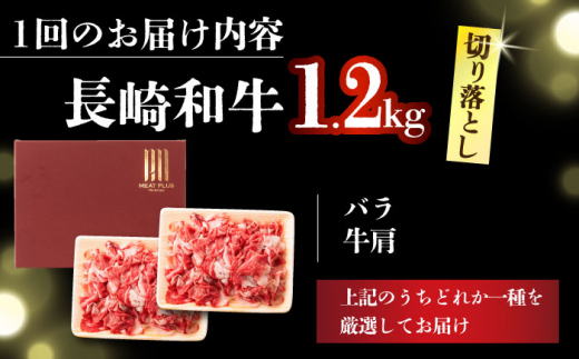 【全2回定期便】【A4～A5】長崎和牛切り落とし　1.2kg(600g×2p）【株式会社 MEAT PLUS】 [DBS057]