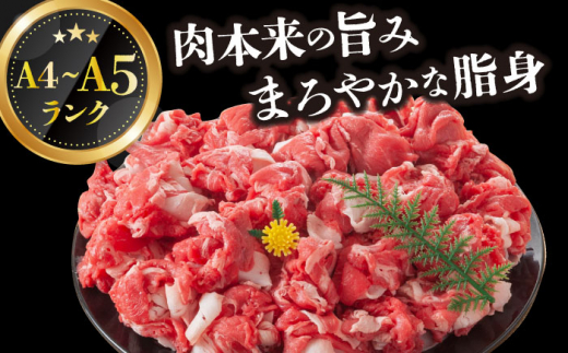 【全2回定期便】【A4～A5】長崎和牛切り落とし　1.2kg(600g×2p）【株式会社 MEAT PLUS】 [DBS057]