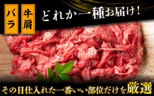 【全2回定期便】【A4～A5】長崎和牛切り落とし　1.2kg(600g×2p）【株式会社 MEAT PLUS】 [DBS057]