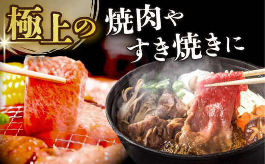 【全2回定期便】【A4～A5】長崎和牛切り落とし　1.2kg(600g×2p）【株式会社 MEAT PLUS】 [DBS057]