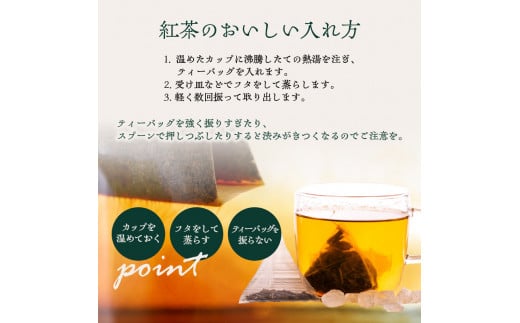 【全2回定期便】世界の美味しい紅茶５種セット  紅茶 紅茶専門店 紅茶詰め合わせ 紅茶セット ティータイム ティーバッグ【010-03-T1】