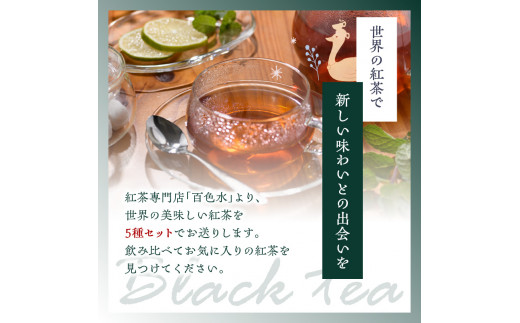 【全2回定期便】世界の美味しい紅茶５種セット  紅茶 紅茶専門店 紅茶詰め合わせ 紅茶セット ティータイム ティーバッグ【010-03-T1】