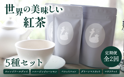 【全2回定期便】世界の美味しい紅茶５種セット  紅茶 紅茶専門店 紅茶詰め合わせ 紅茶セット ティータイム ティーバッグ【010-03-T1】