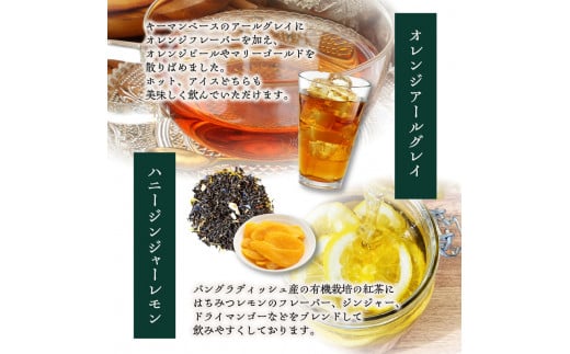 【全2回定期便】世界の美味しい紅茶５種セット  紅茶 紅茶専門店 紅茶詰め合わせ 紅茶セット ティータイム ティーバッグ【010-03-T1】