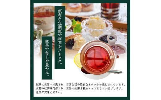 【全2回定期便】世界の美味しい紅茶５種セット  紅茶 紅茶専門店 紅茶詰め合わせ 紅茶セット ティータイム ティーバッグ【010-03-T1】