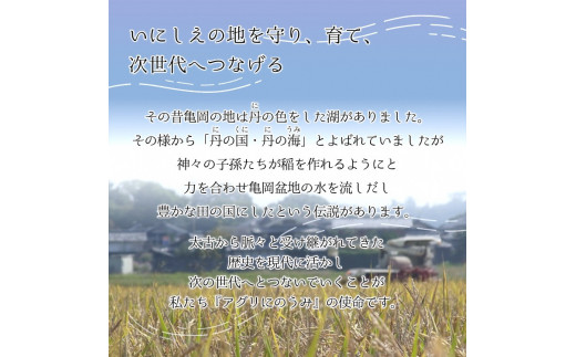 【令和7年産先行予約】米 コシヒカリ 玄米 10kg〈アグリにのうみ〉京都・亀岡産《令和7年産》 京都丹波産◇ ※北海道・沖縄・離島への配送不可 ※2025年10月中旬頃から順次発送予定